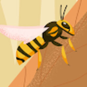 Meet your Posher, Cole